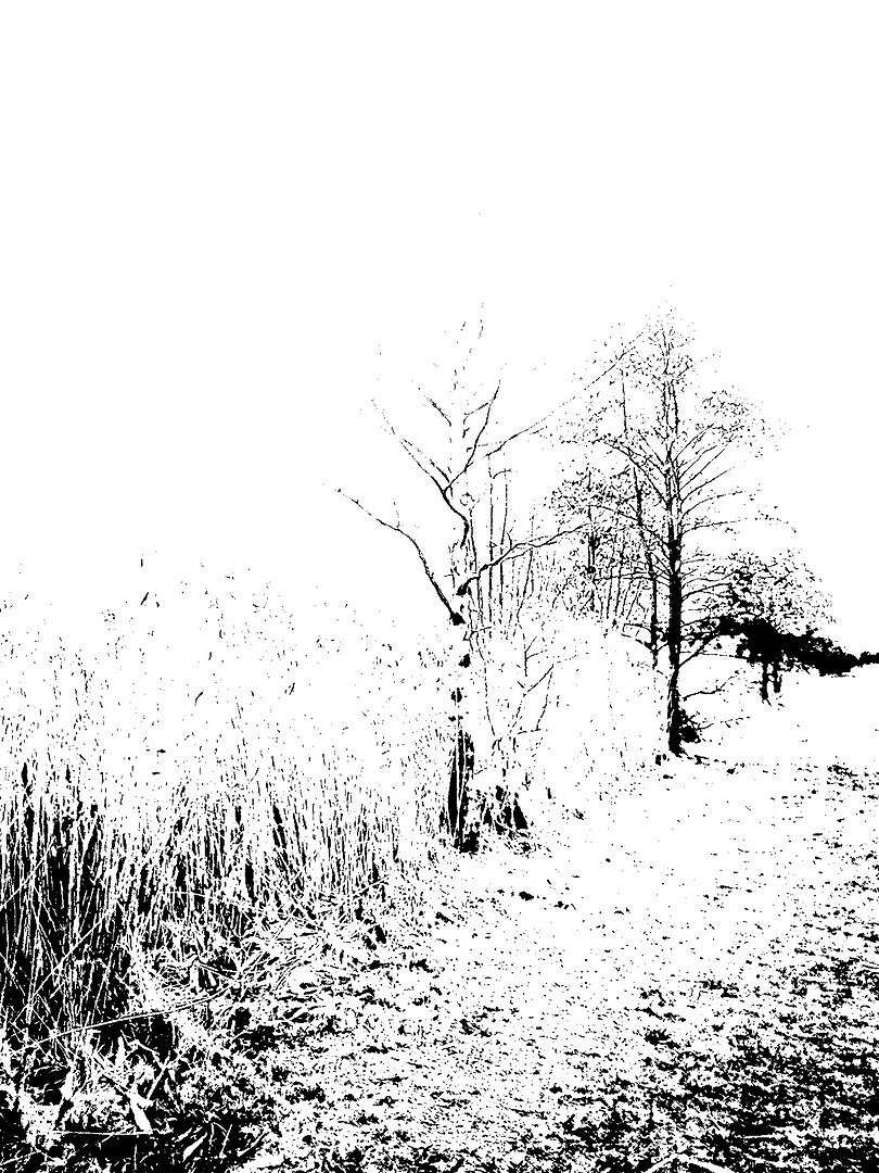 Snow-Illusion