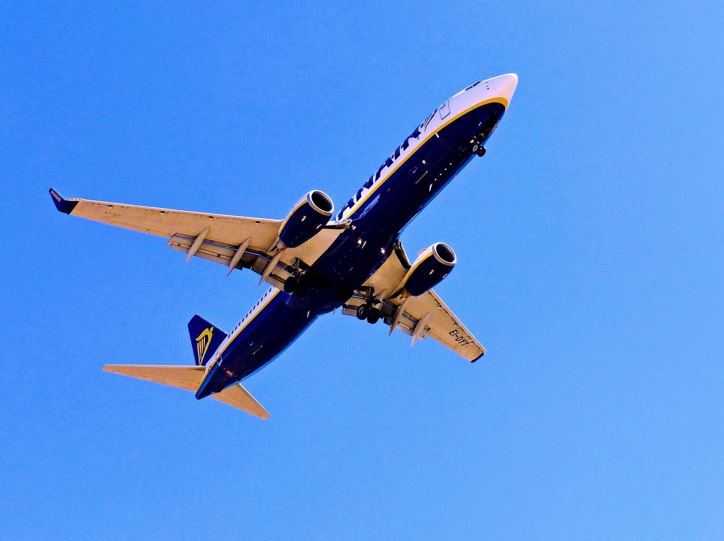 Blauer Flieger