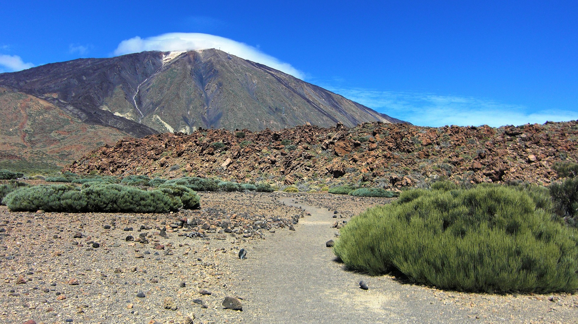 Teide Nationalpark (2)