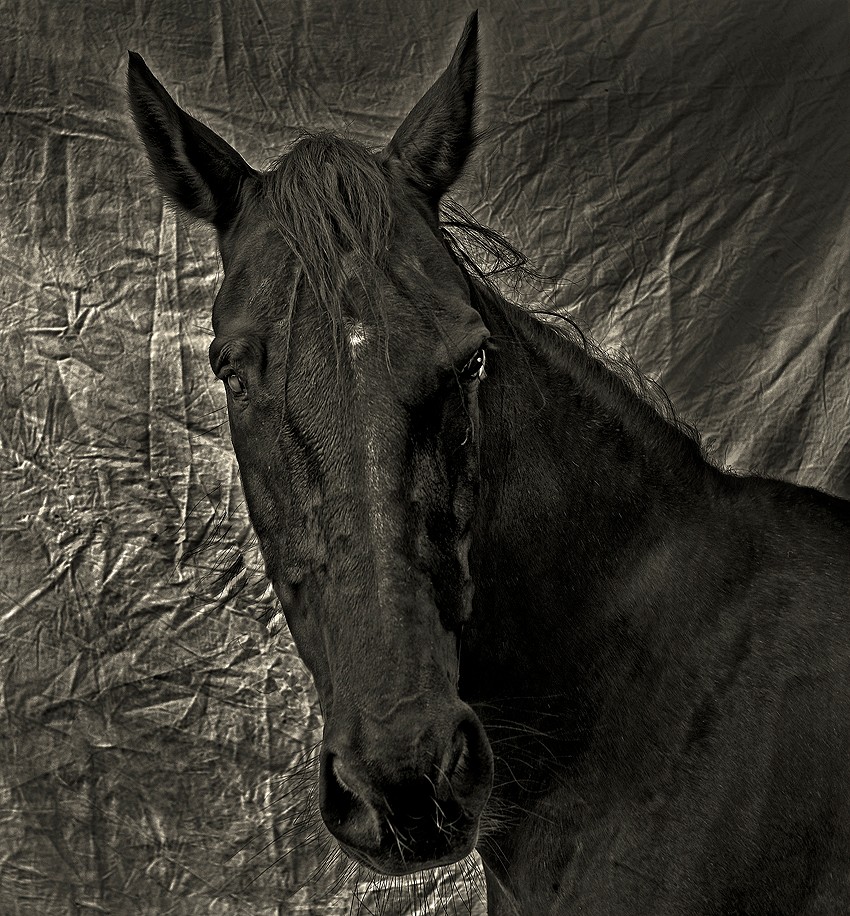 my blind friend