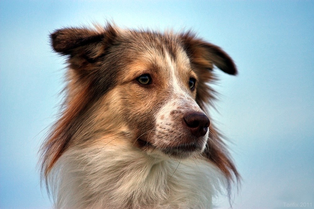 Ich habe alles im Blick!