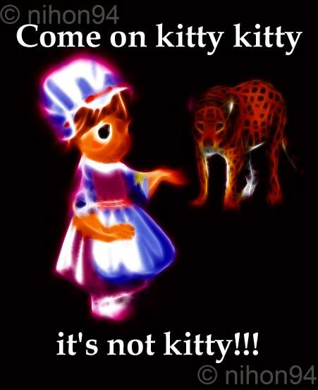 Come on Kitty Kitty