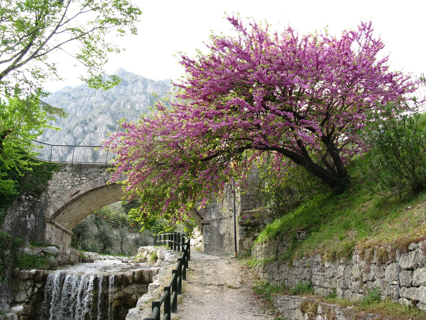 torrente S.Giovanni