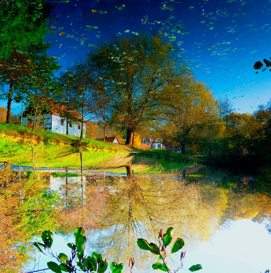 Spiegelbild Ja oder Nein?