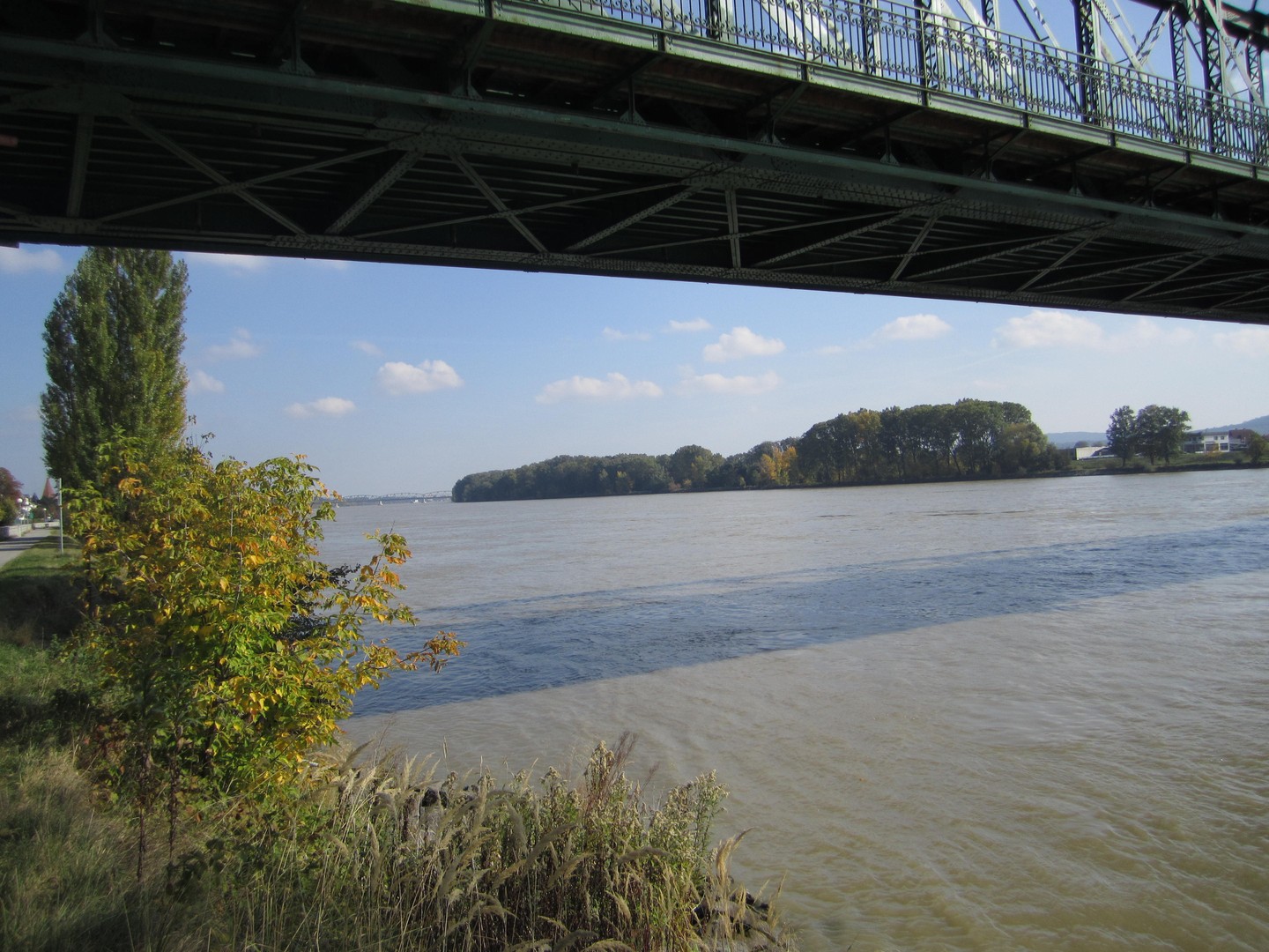 DONAUBRÜCKEN
