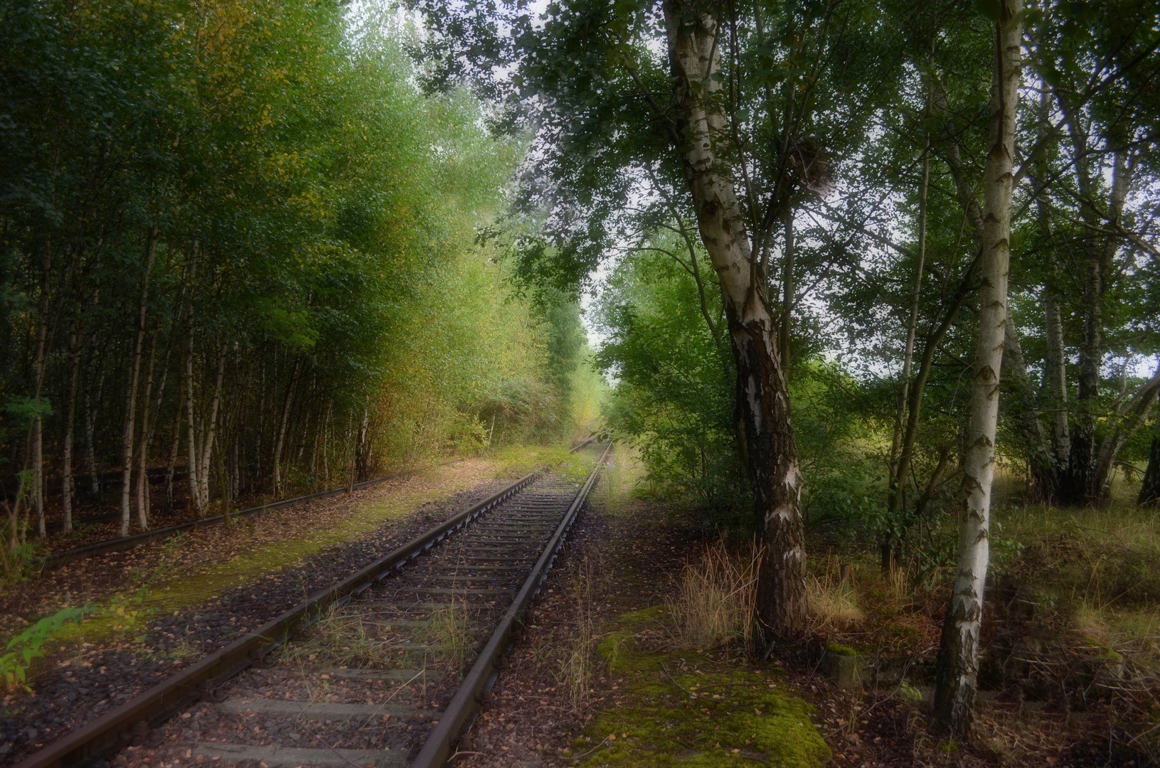 NRW altes Bahngelände