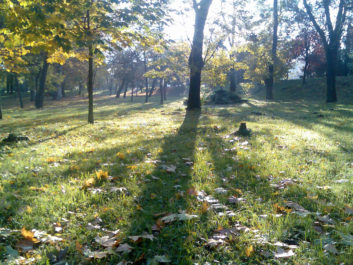 Im park