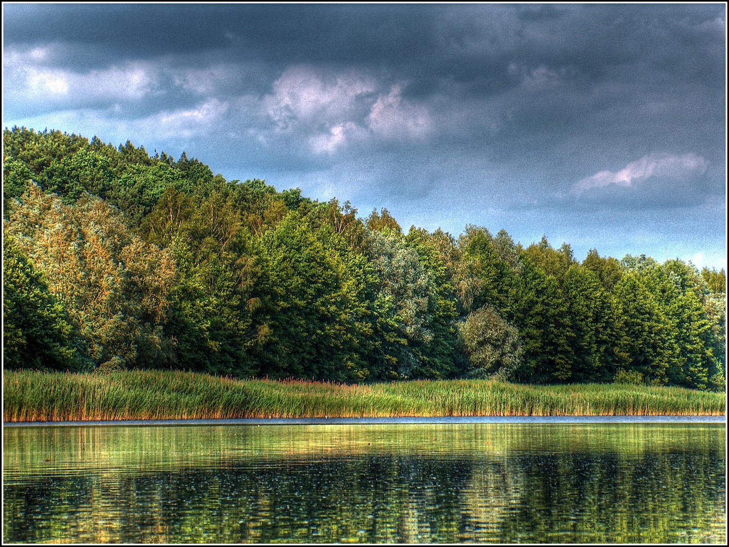 Weiher 