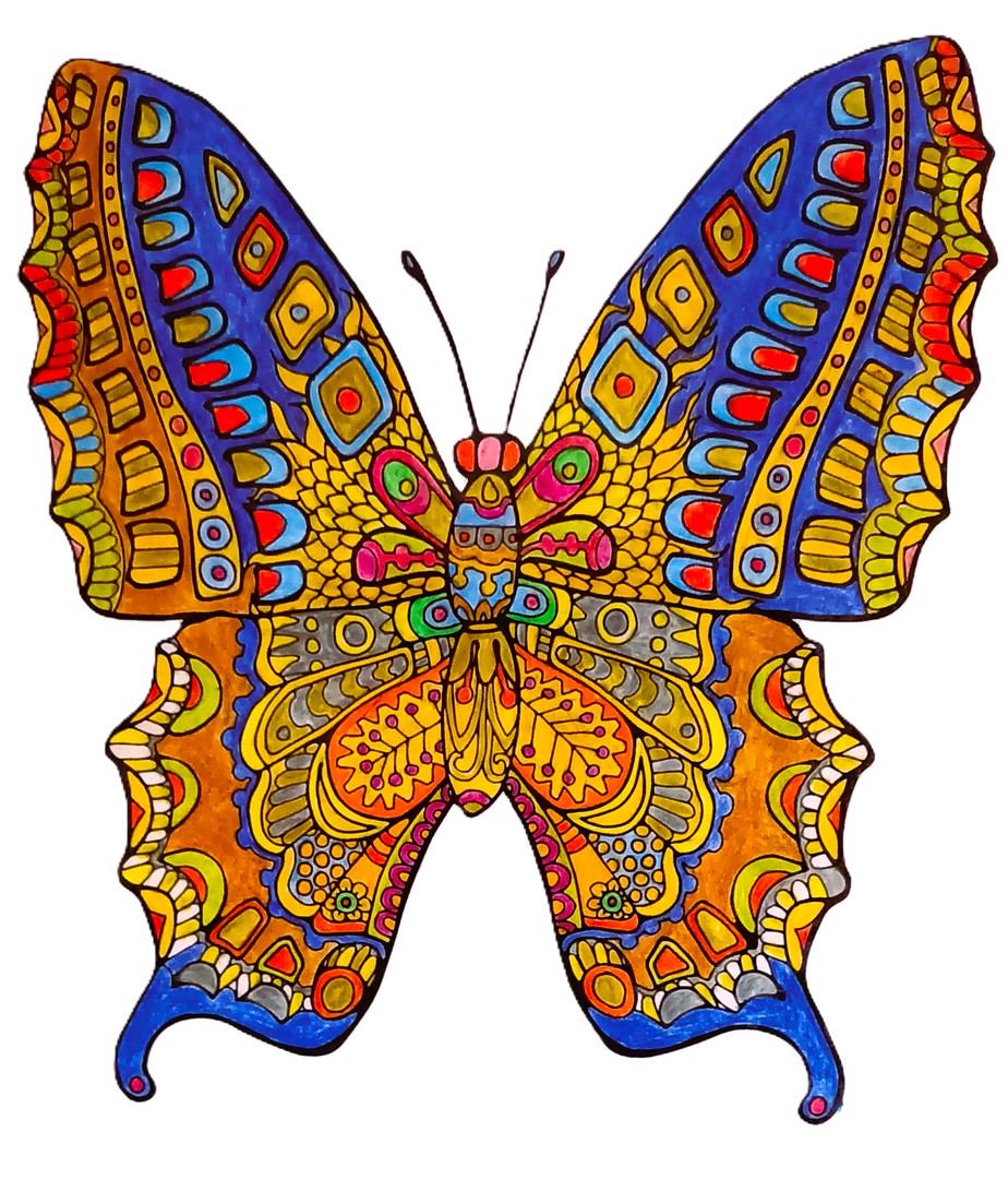 Schmetterling & Butterfly