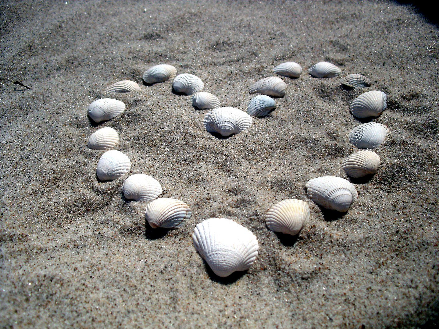 Shell Heart