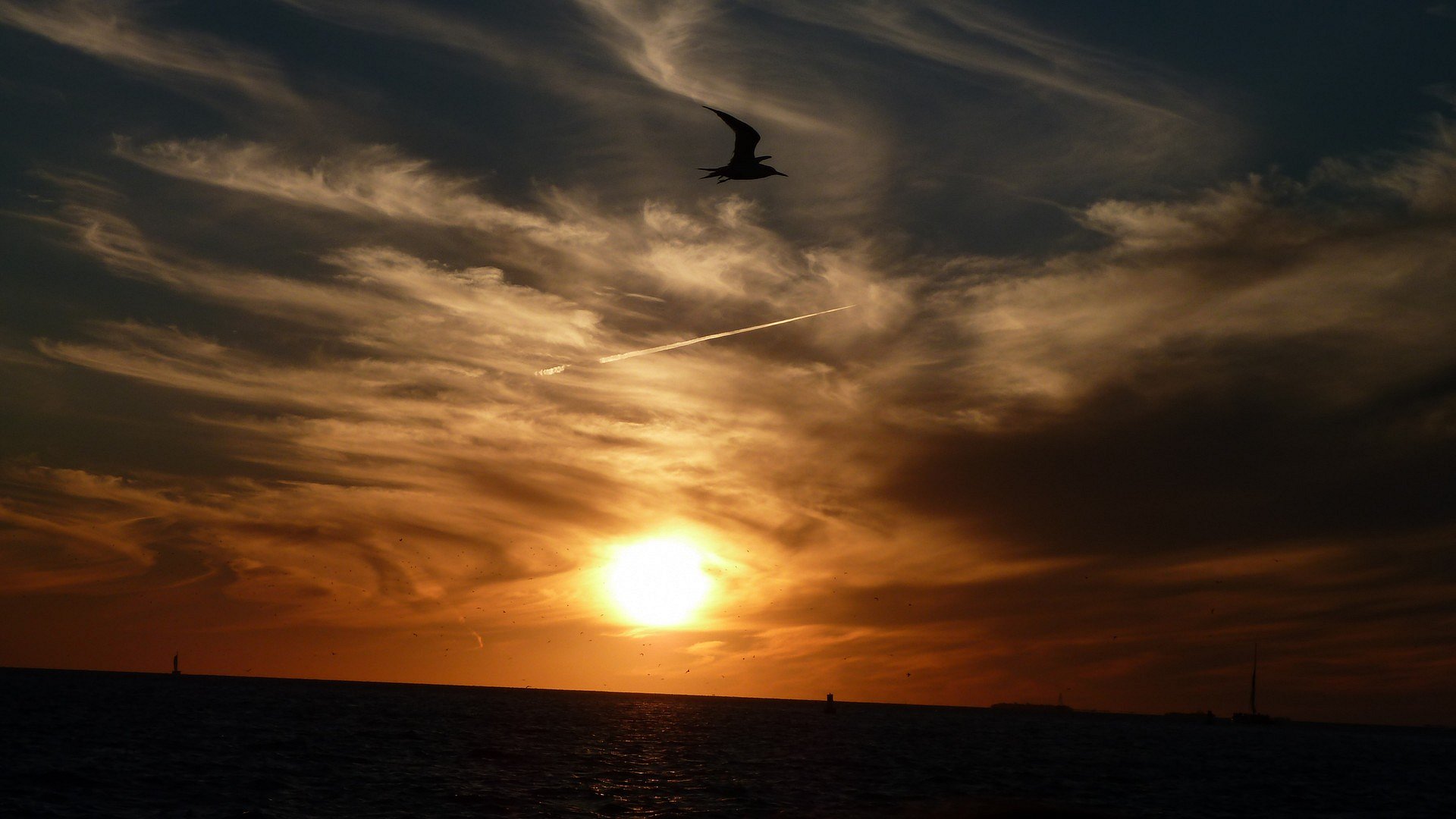Sunset in the Florida keys