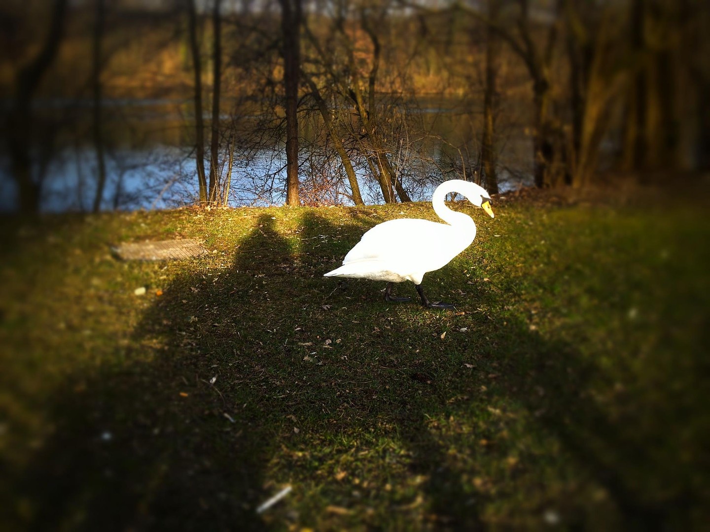 Neulich an der Limmat
