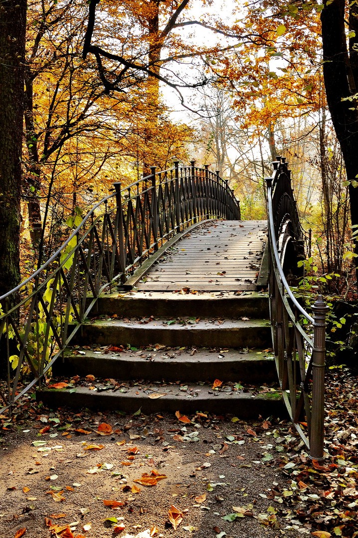 goldener Herbst 2