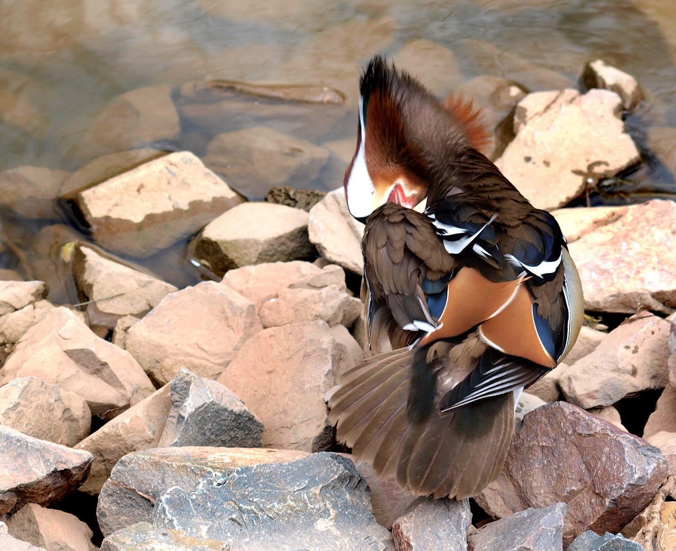 So schön wie die...