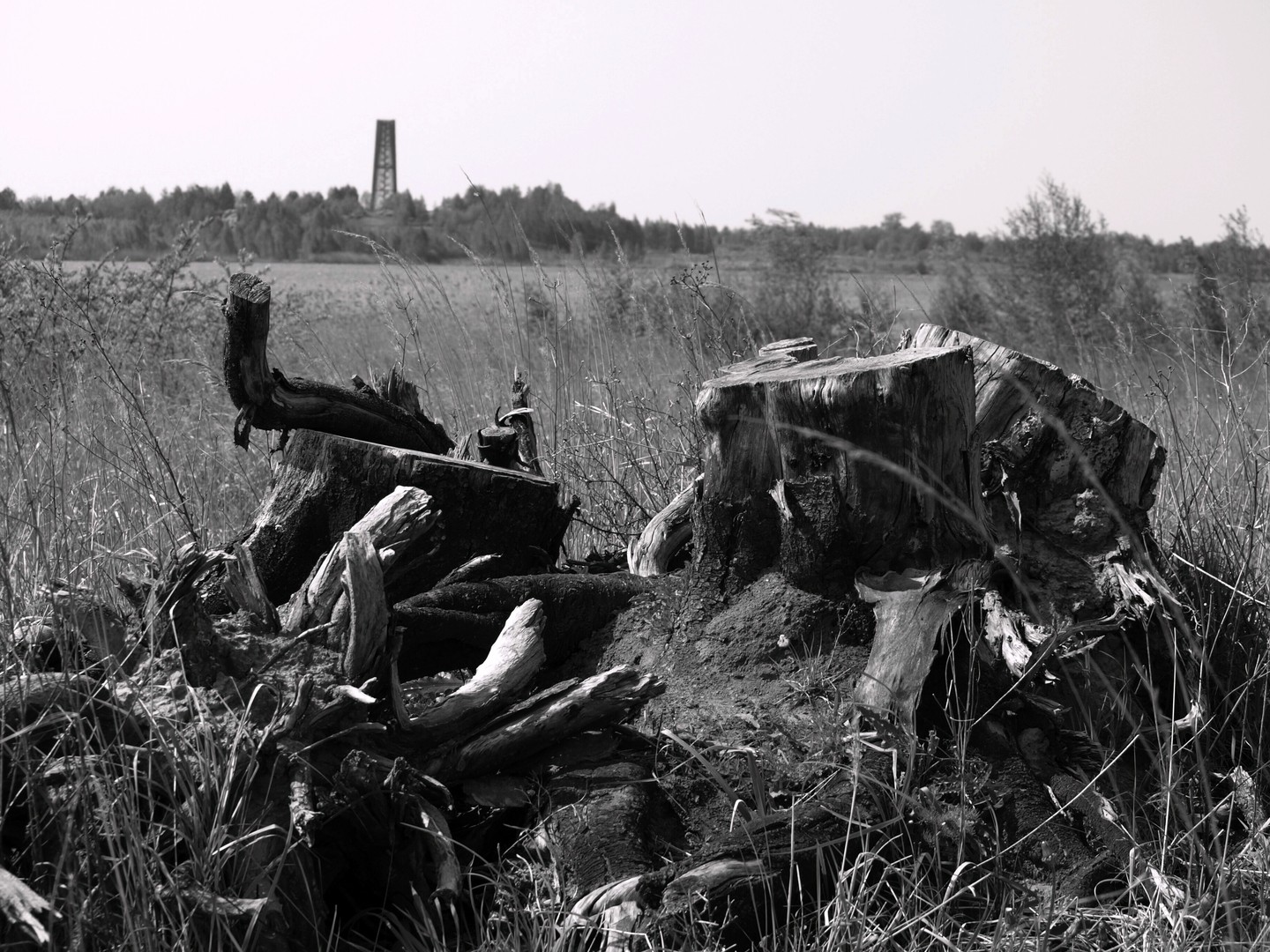 Landschaft
