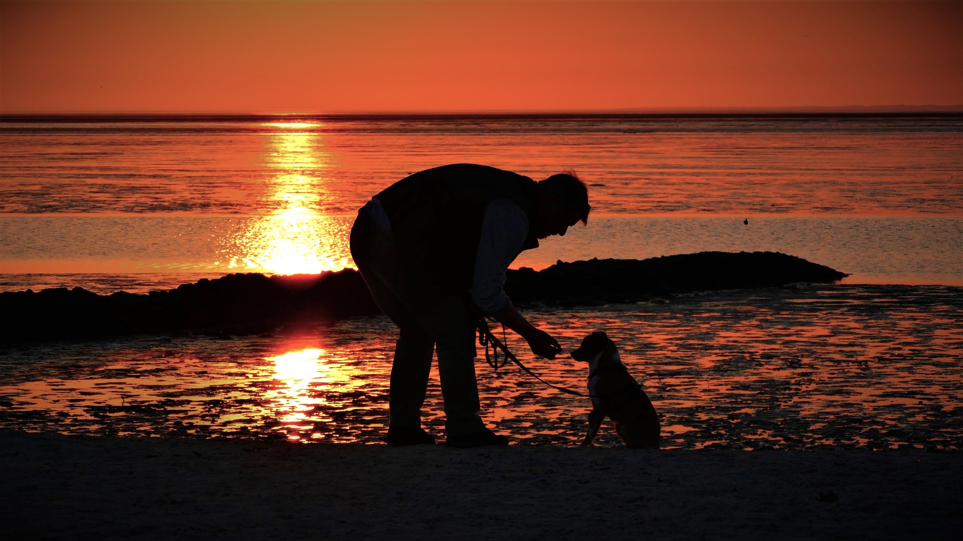 Me and the Dog named Winnetou