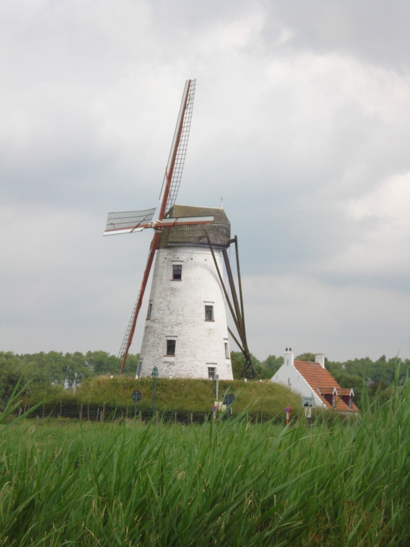 Windmühle