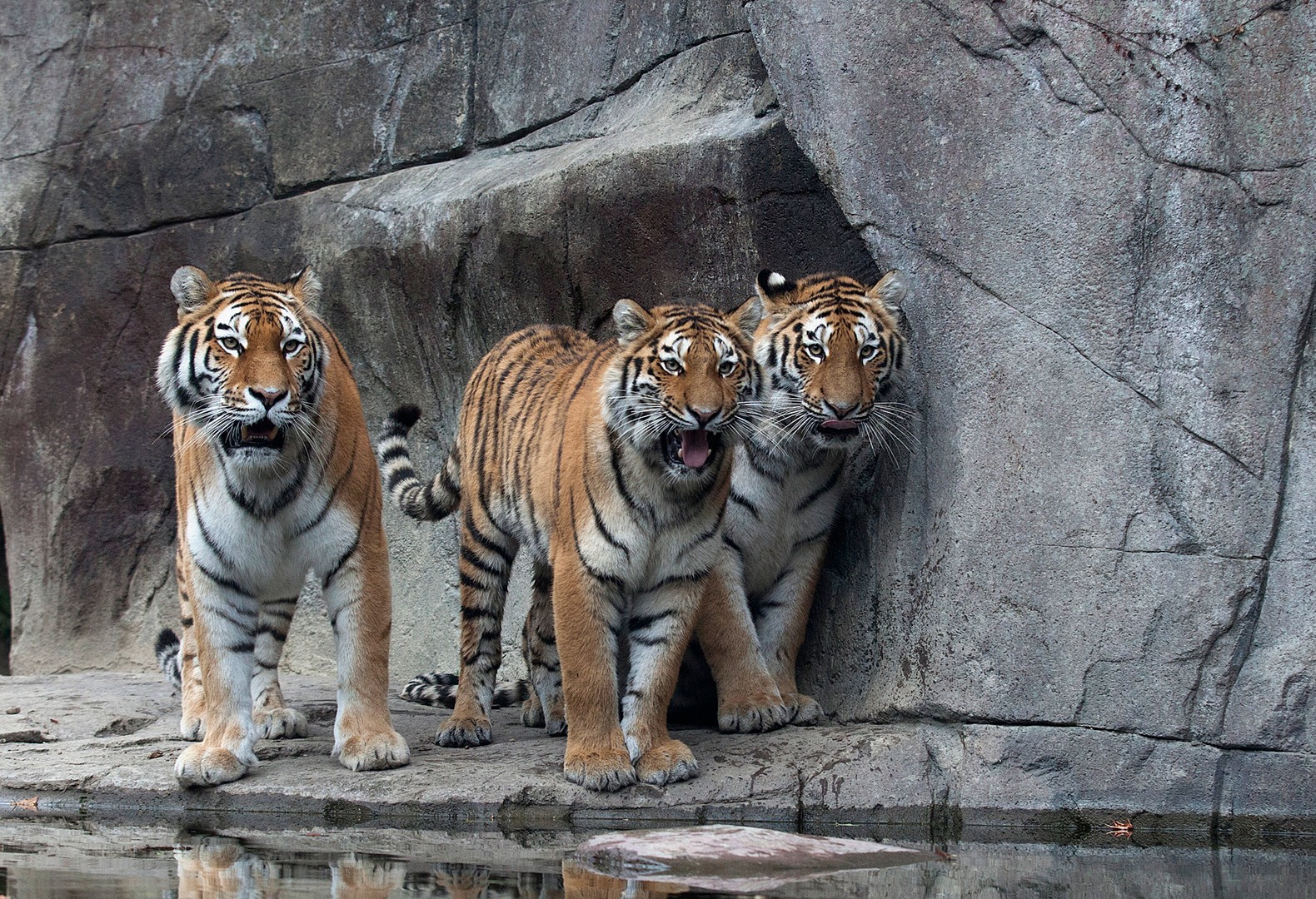 So, heute holen wir uns mal einen Paparazzo