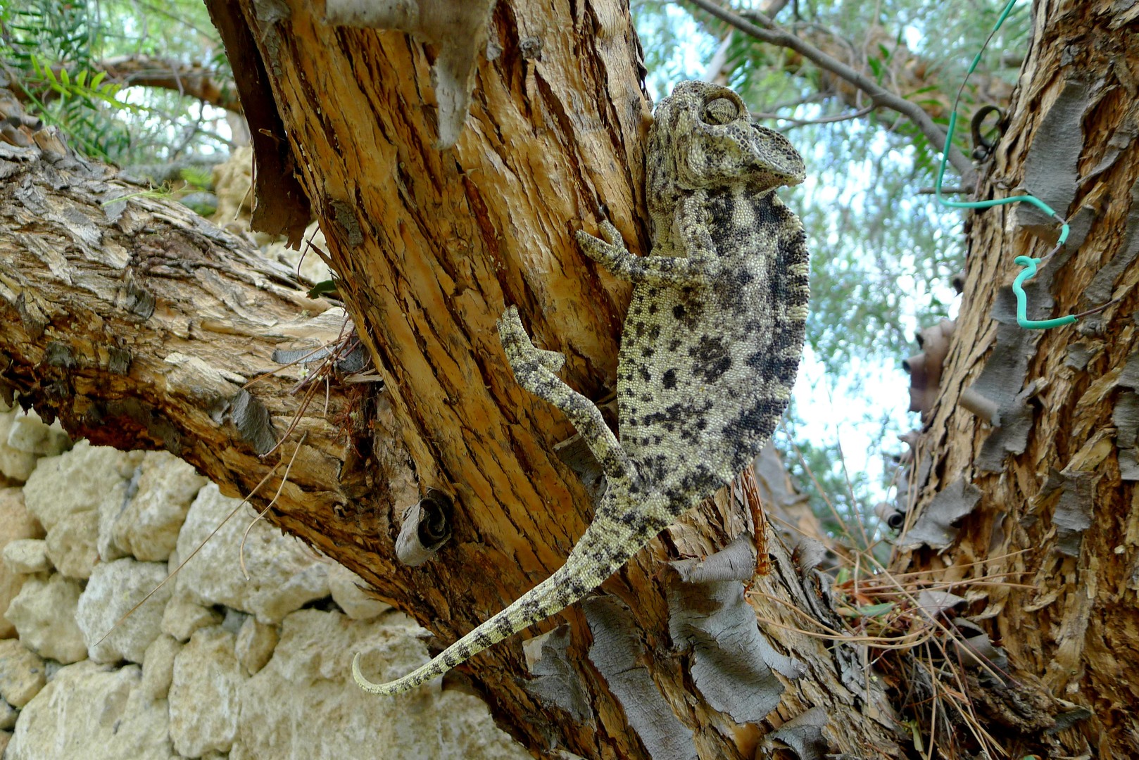 Muster der Langsamkeit