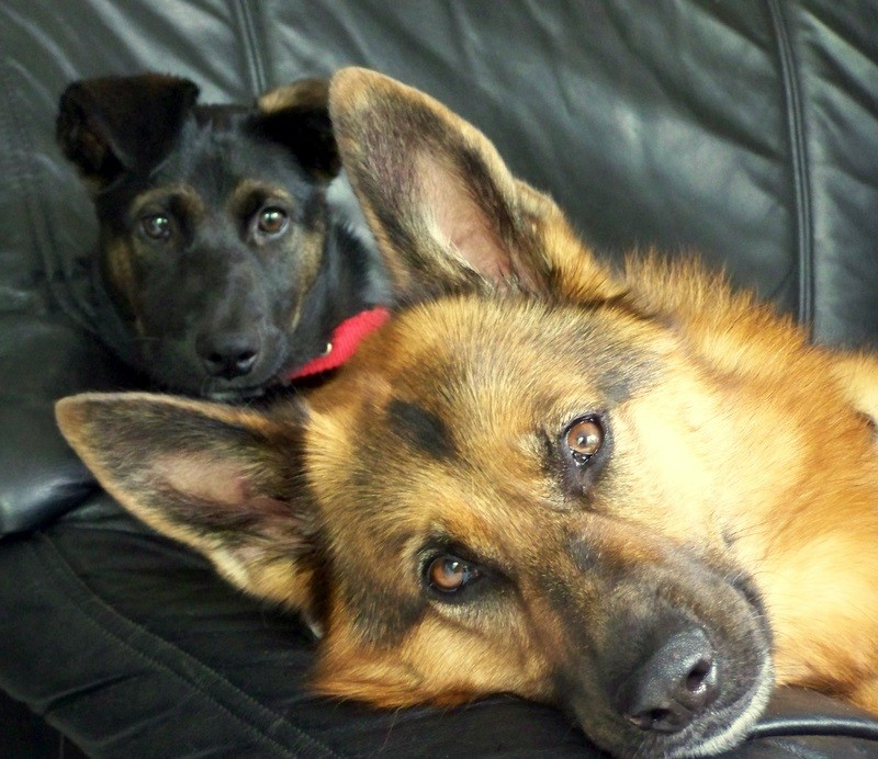 Voor altijd vriendinnen