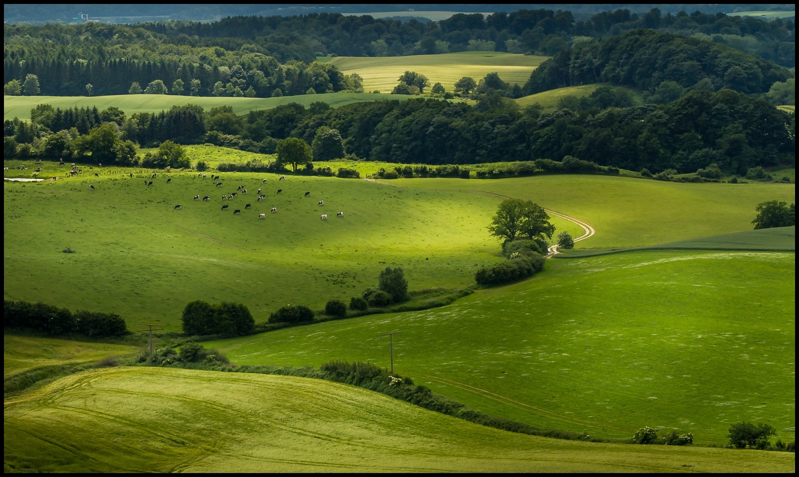 Green Hills