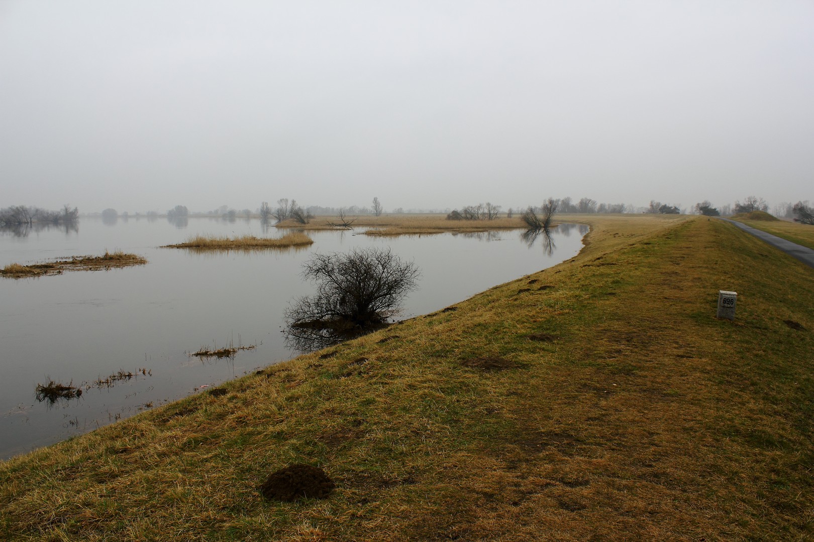 Die Oder im Februar 2013