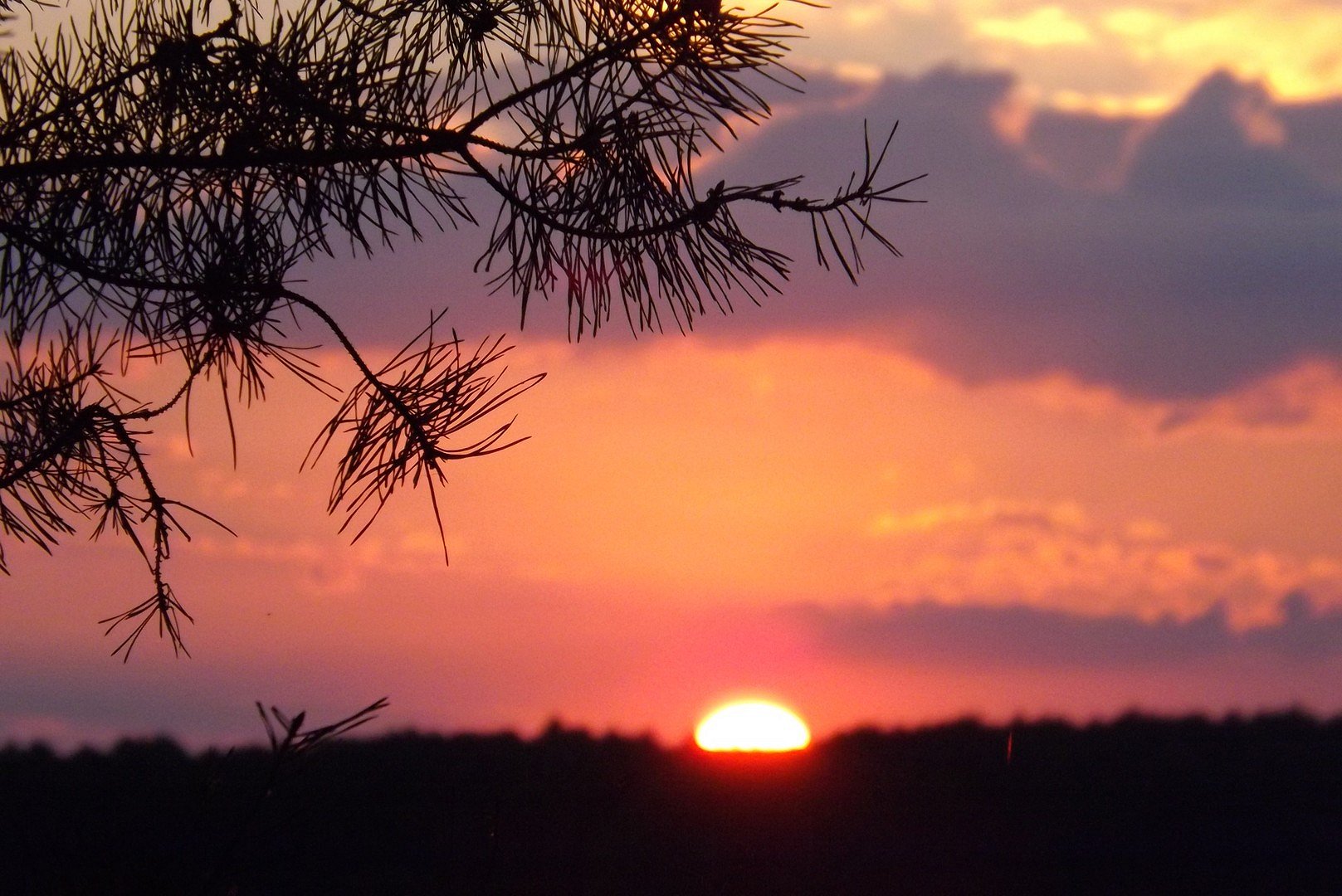 Abendstimmung
