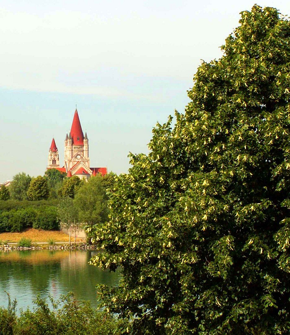 BLICK ÜBER DONAUINSEL