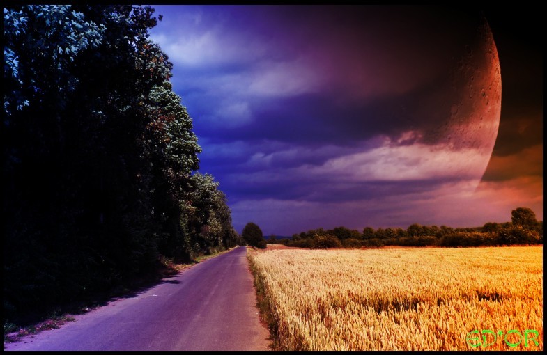Morgen wie diese