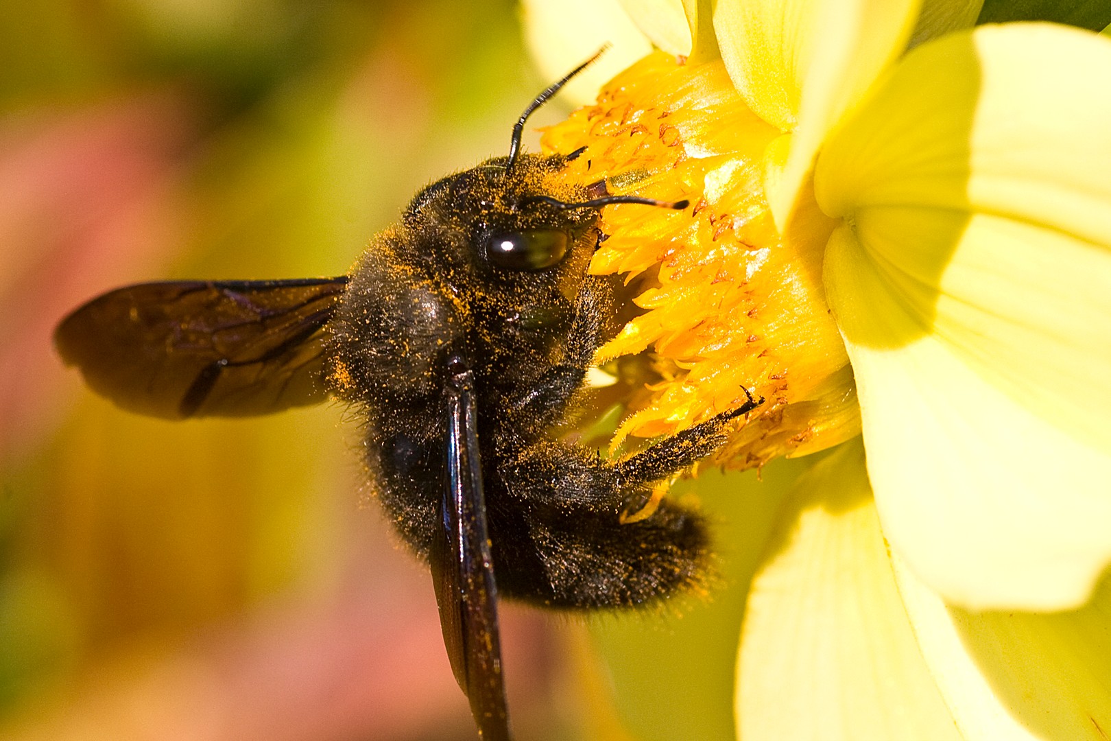 Das Auge sieht alles