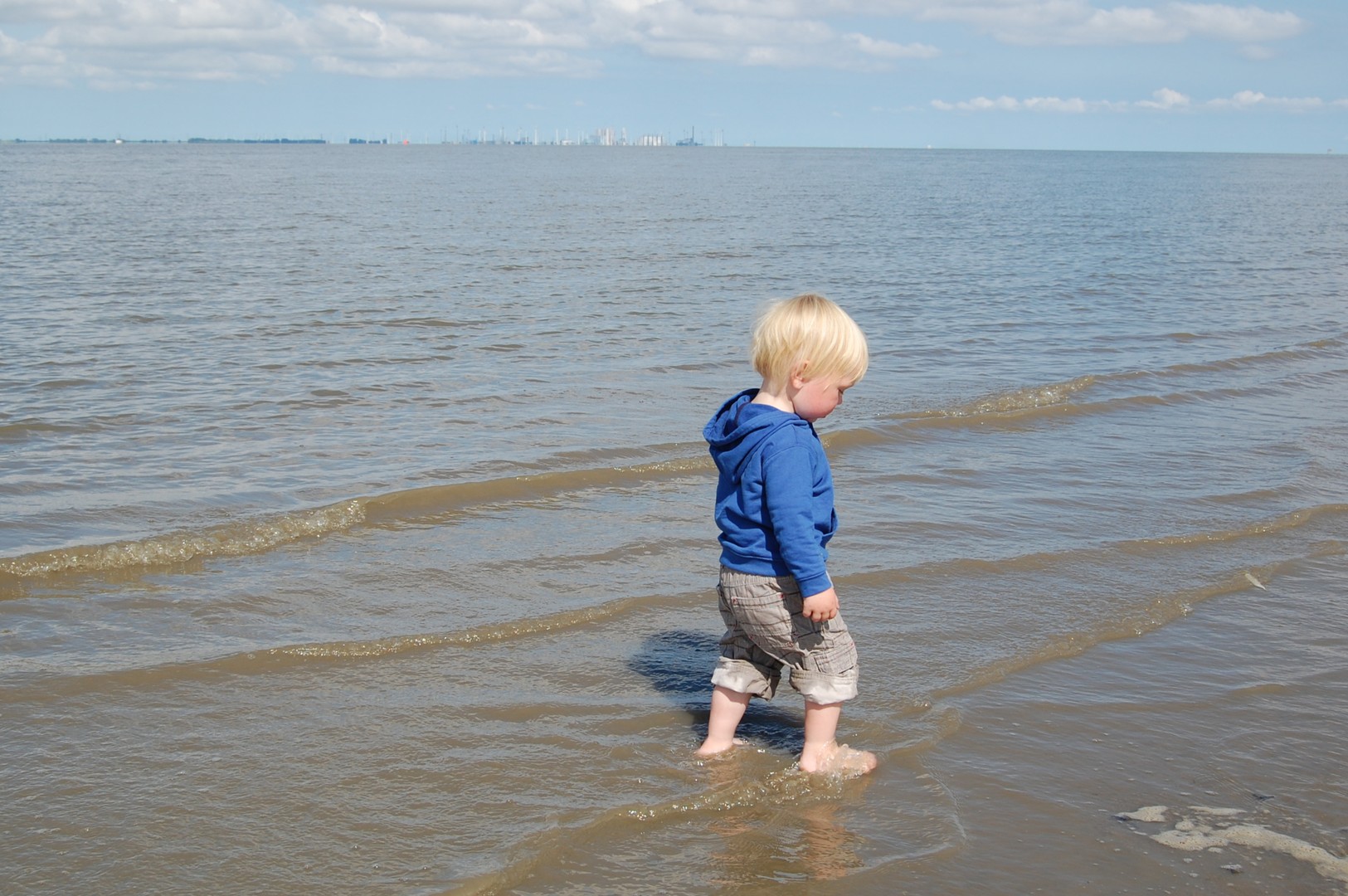 kleiner Wattwurmsucher an der Knock