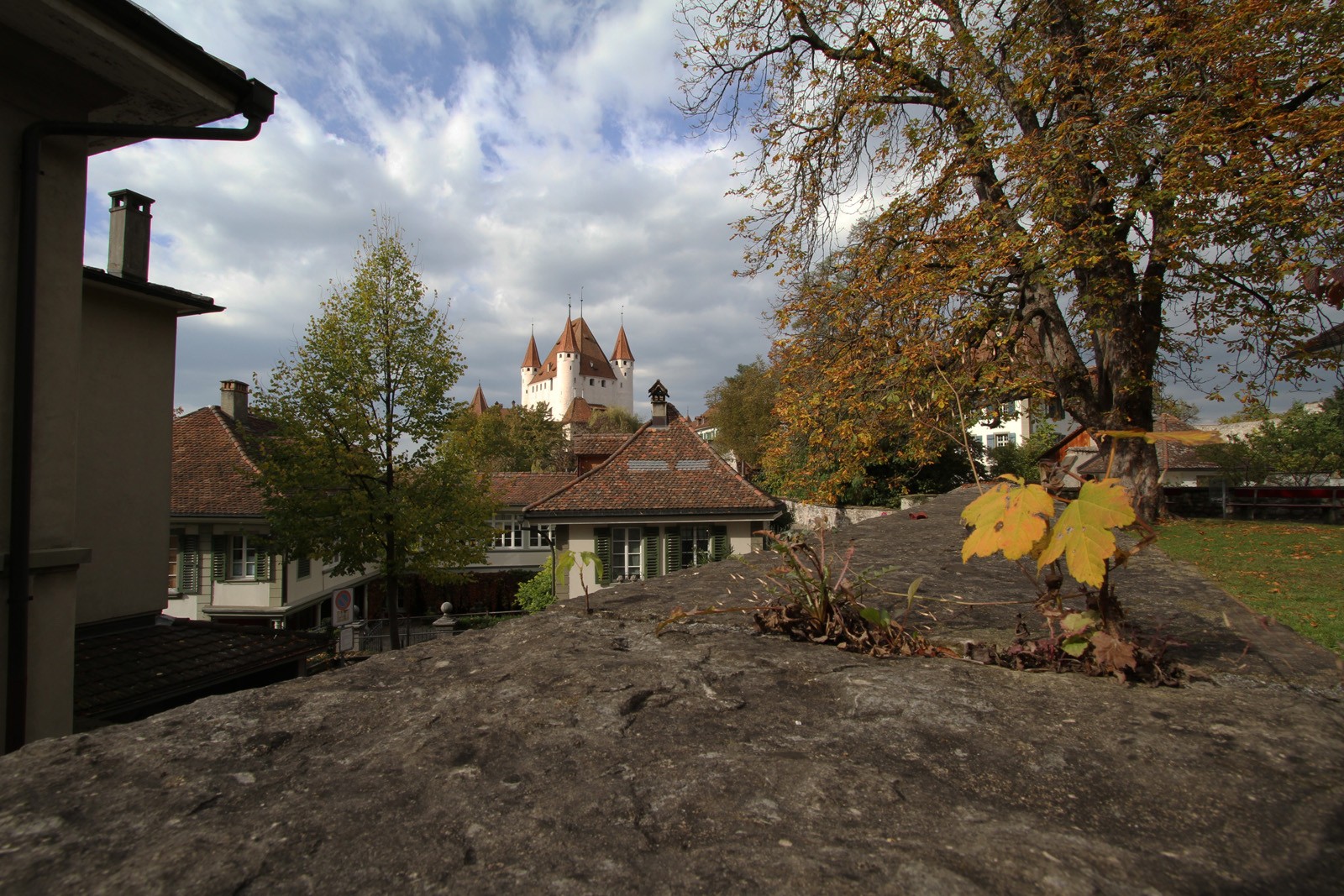 Schloss Thun