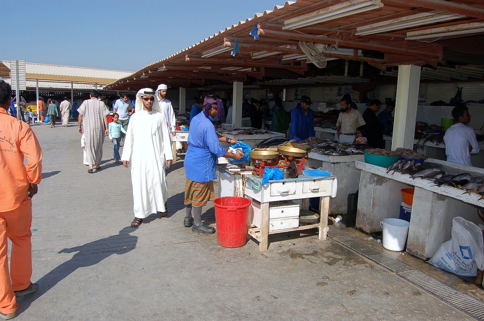 Fisch Markt in Dubay