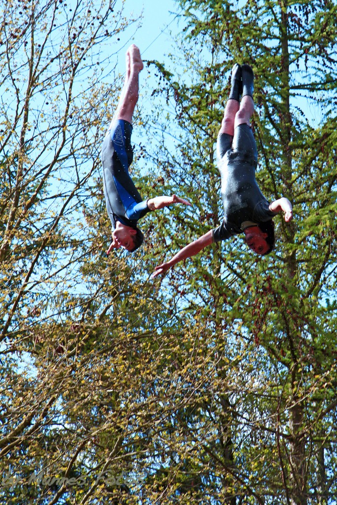 Accapulco Springer im Duo