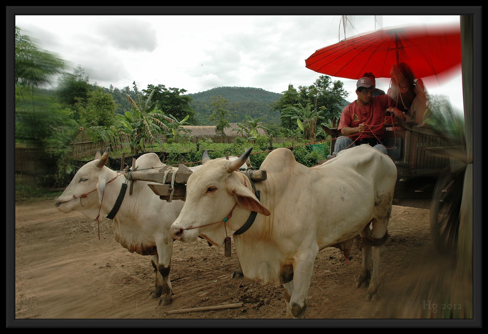 Transport
