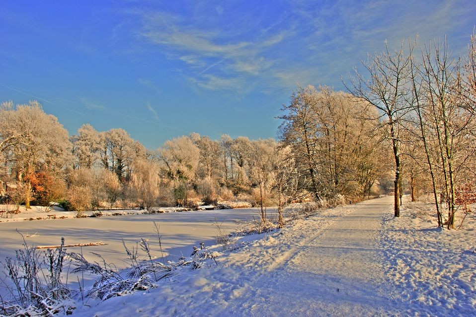 Winter an der Ems