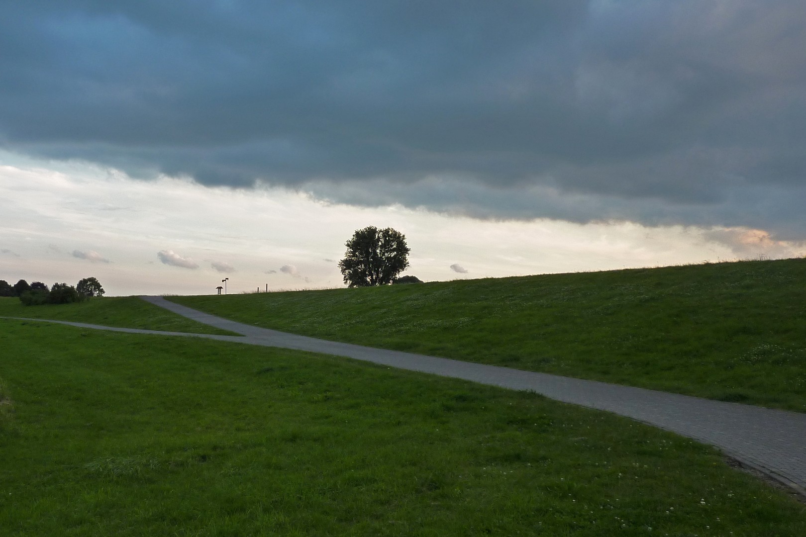 Abend in den Rheinauen