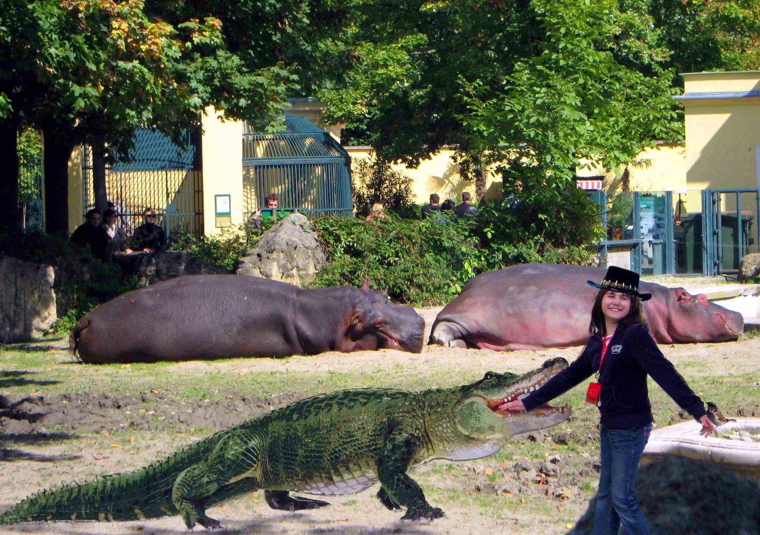 Crocodile-Janine