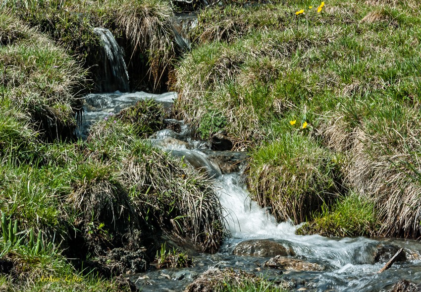 Kleiner Bergbach