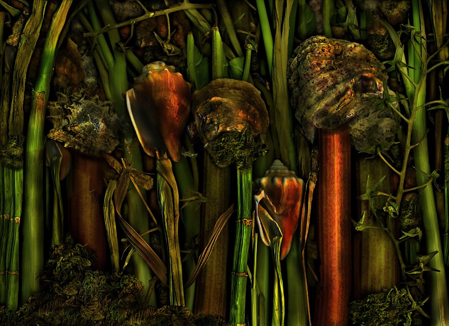 magic garden jungle