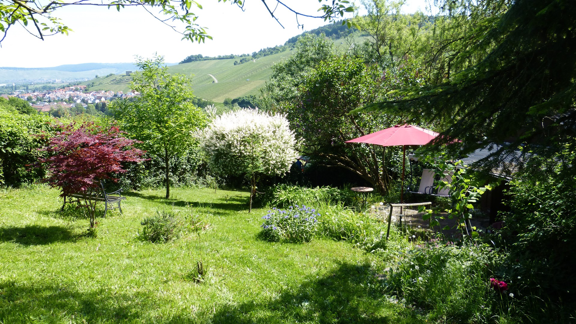 Unser Garten