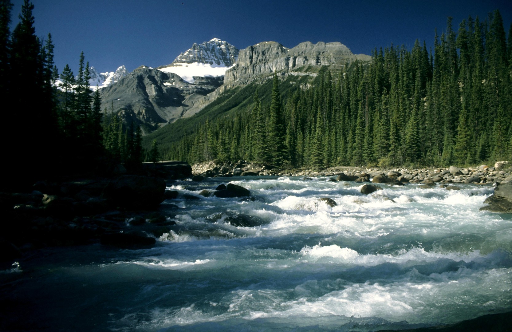 Wo der Wildbach rauscht