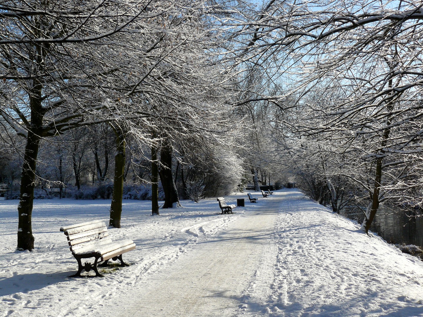 Winter an der Wuhle