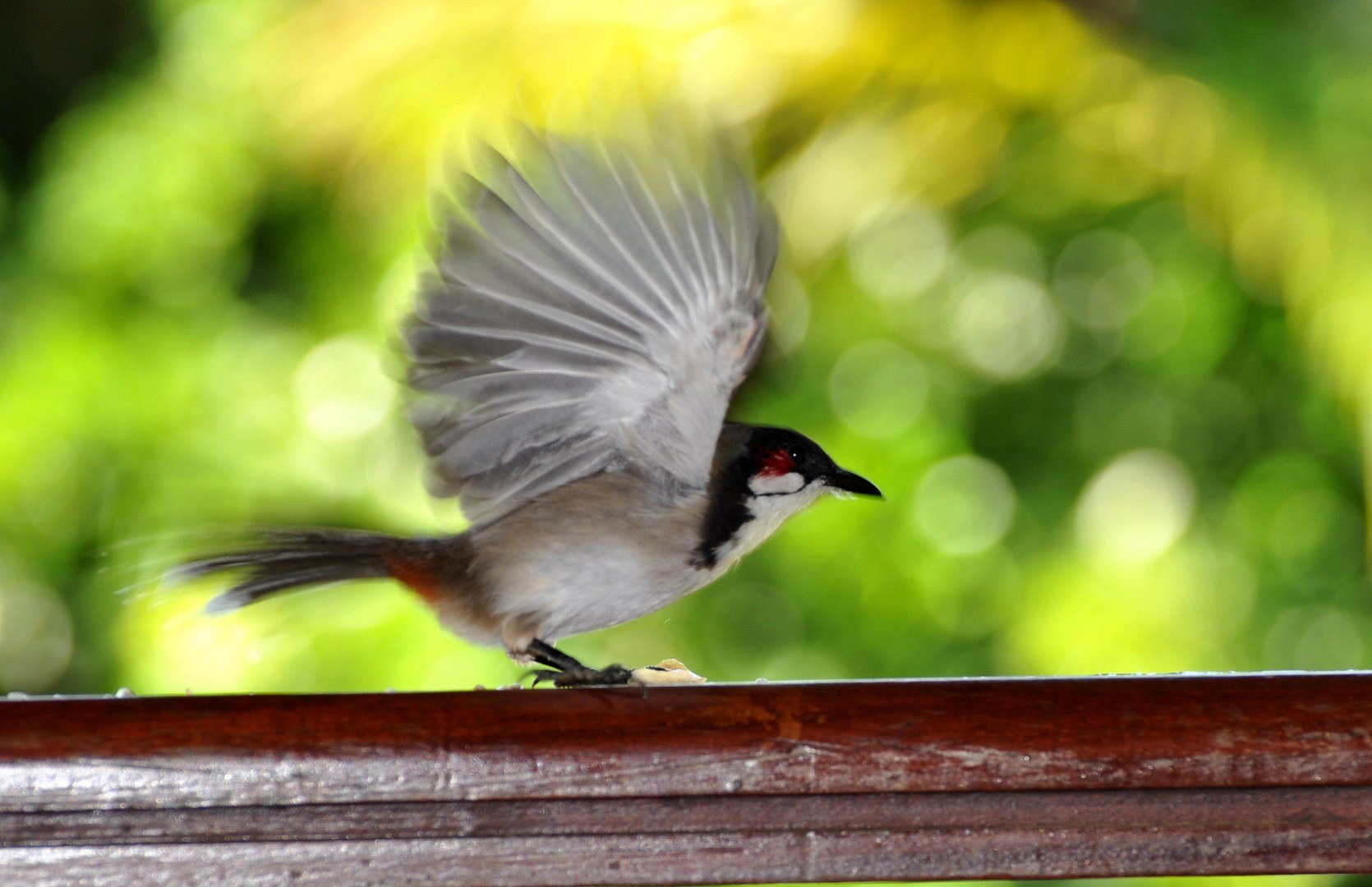 zum Abflug oder Landung