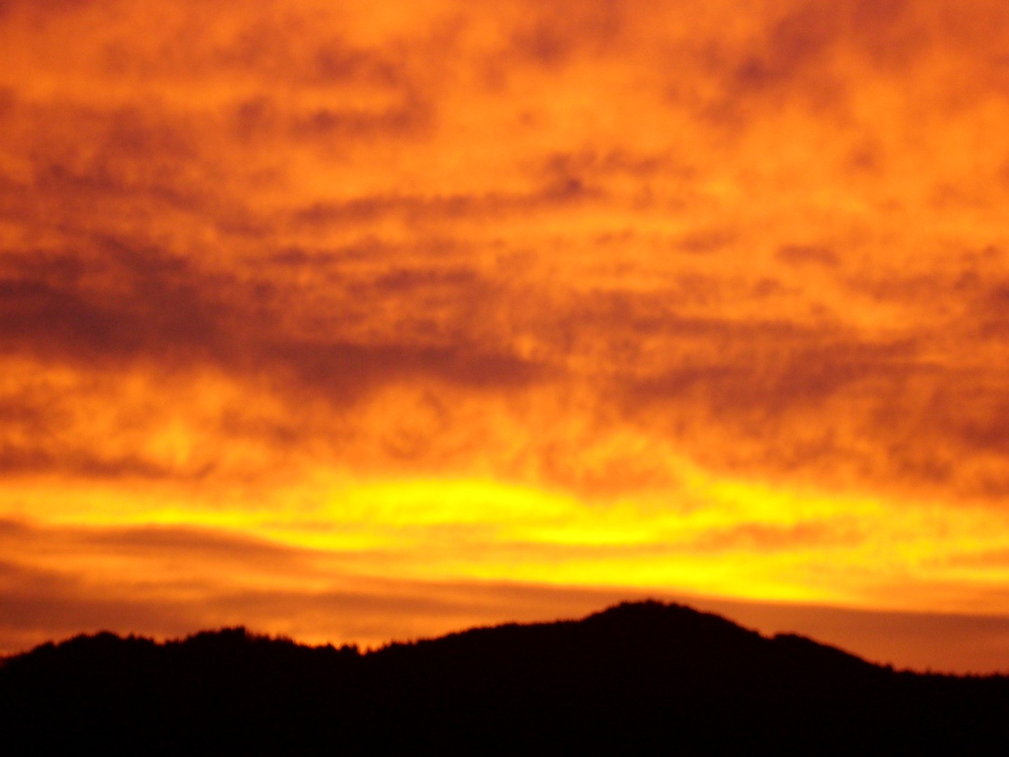 Lichterspiel der Sonne