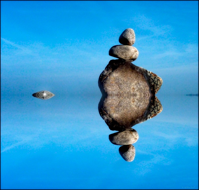 ZEN ☆