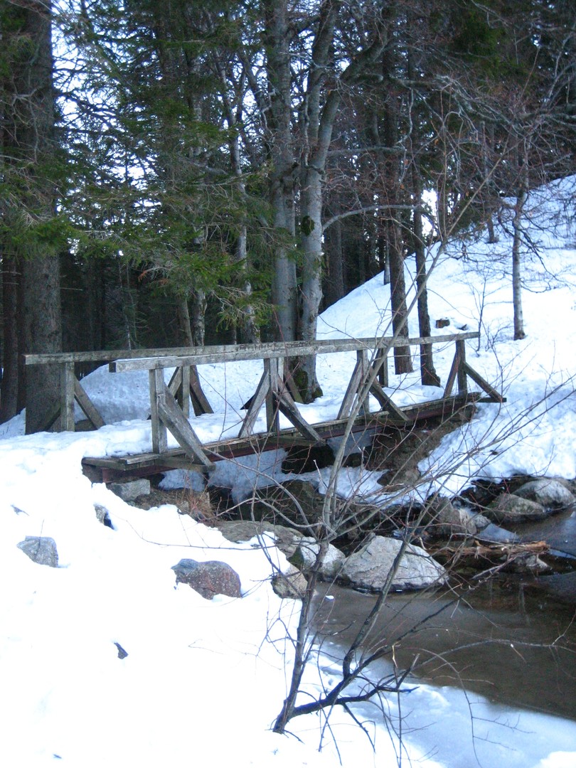 Holzbrücke ...