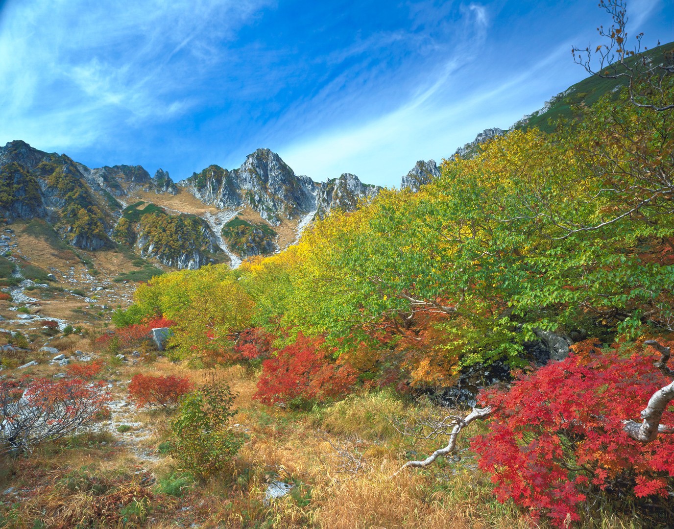 木曽駒ヶ岳千畳敷カール（長野県駒ヶ根市）