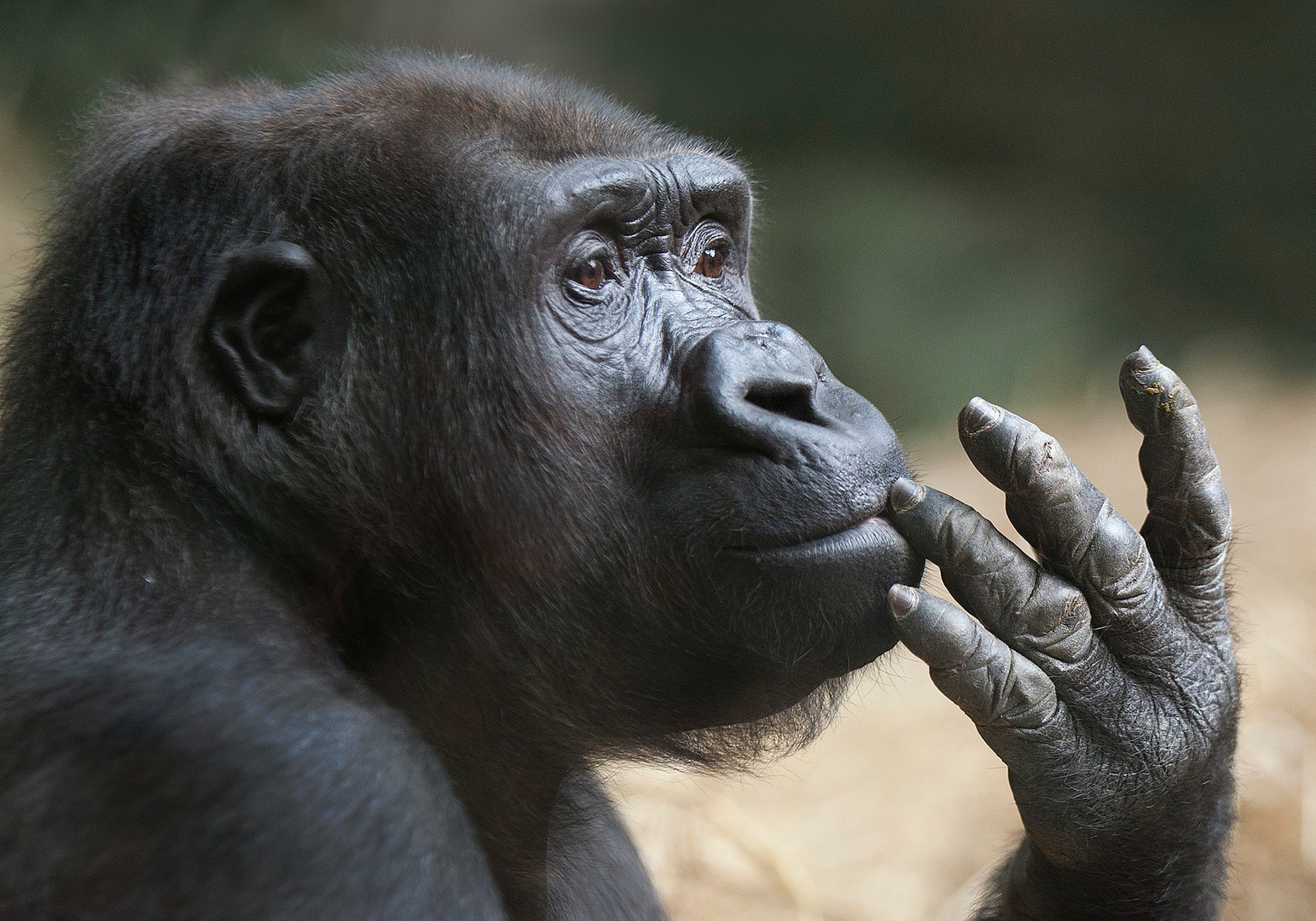 Das muss ich mir noch überlegen...