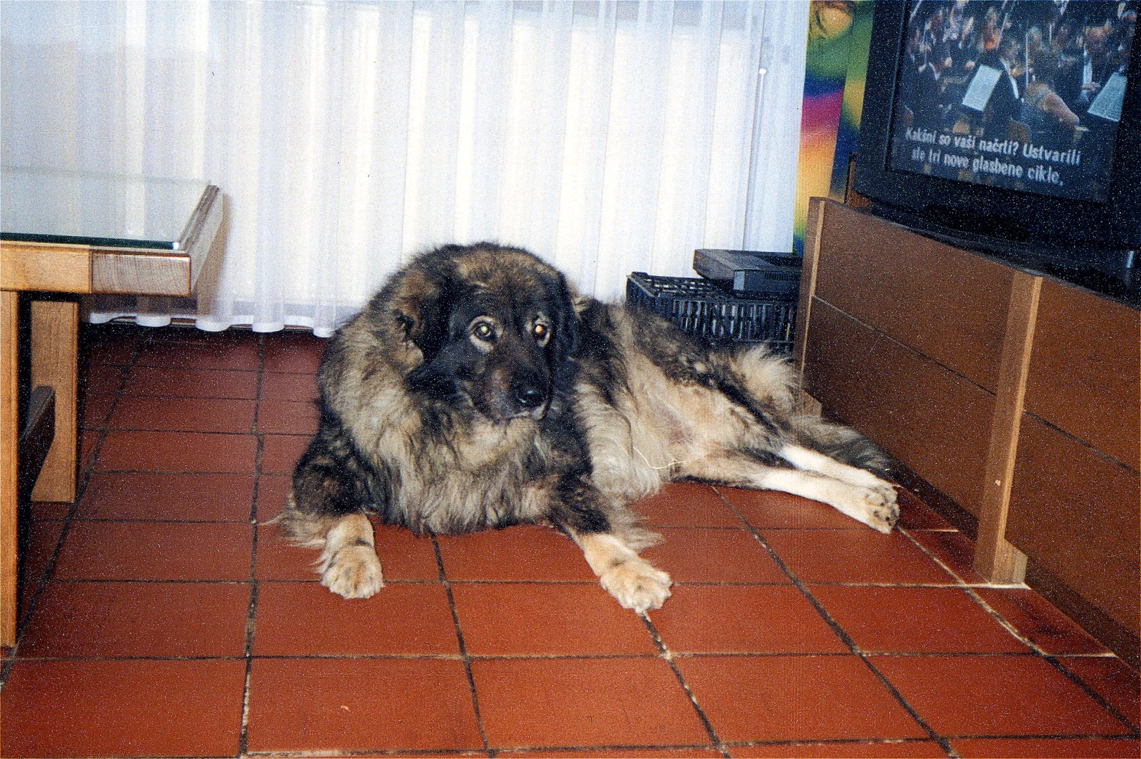 .:09_04_09 ~ ODIN_TOŠ@TOSCH:.